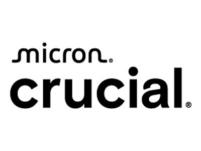 CRUCIAL Logo