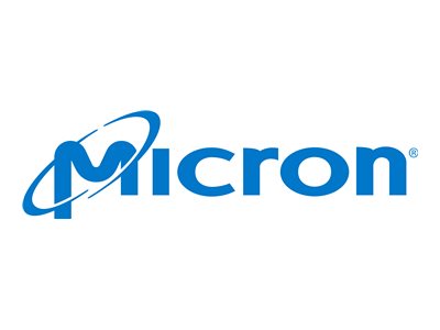 Micron Logo