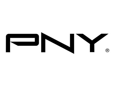 PNY Logo