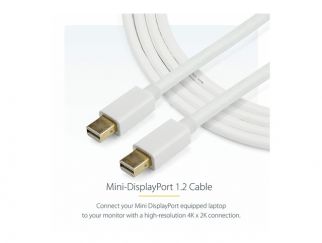 StarTech.com 3m (10 ft) White Mini DisplayPort Cable - Mini Display Port to Mini Display Port - 2x Mini DP (m) - 3 meter, 10 feet (MDPMM3MW) - DisplayPort cable - 3 m