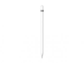 Apple Pencil (1st Generation) + Lightning to USBC Adapter