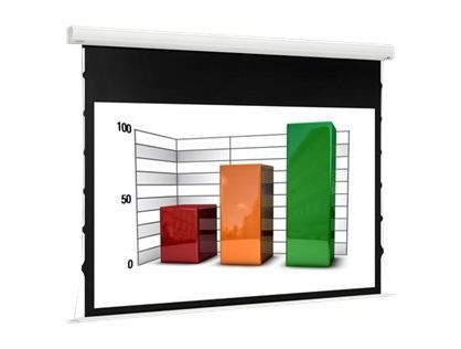 Euroscreen Diplomat Electric Smart MOTOR projection screen - 113" (287 cm)