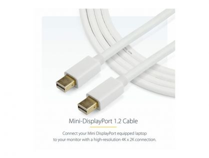 StarTech.com 3m (10 ft) White Mini DisplayPort Cable - Mini Display Port to Mini Display Port - 2x Mini DP (m) - 3 meter, 10 feet (MDPMM3MW) - DisplayPort cable - 3 m