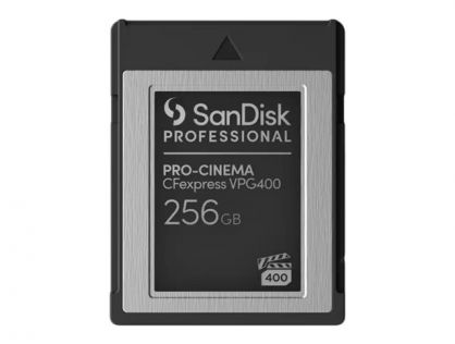 SanDisk - Flash memory card - 256 GB - CFexpress Type B - black