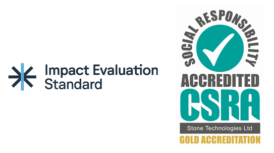 Impact Evaluation Standard Logo