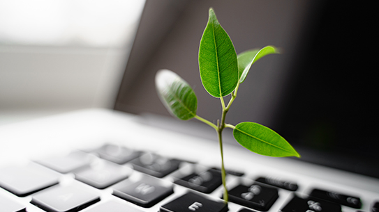 A plant growing out of a laptop