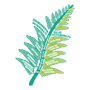 Illustration of a fern leaf with Stones making a digitial difference messages overlaid