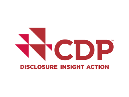 CDP Disclosure Insight Action